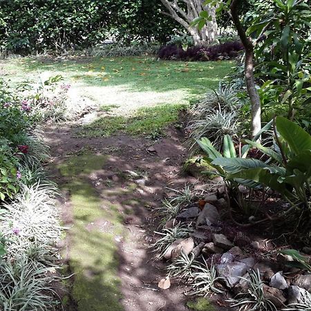 מונטה ורדה Hotel Las Orquideas מראה חיצוני תמונה