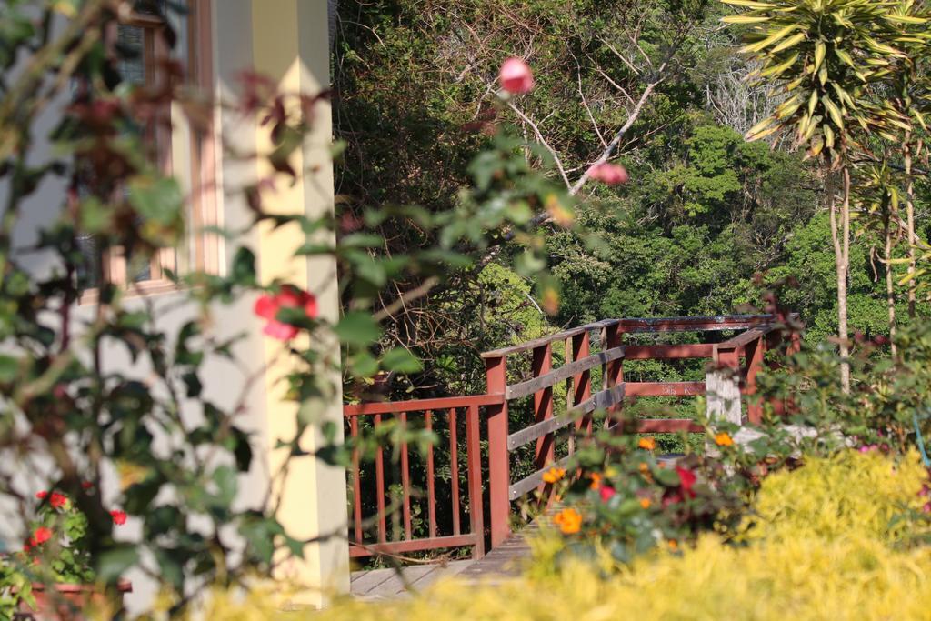 מונטה ורדה Hotel Las Orquideas מראה חיצוני תמונה