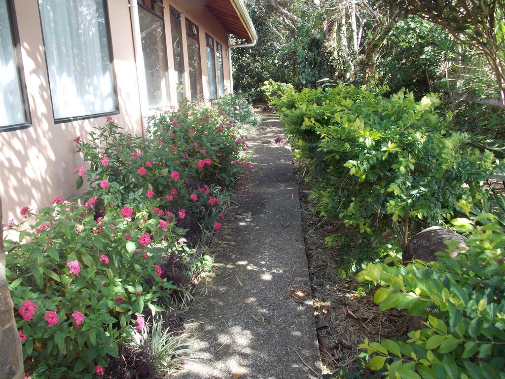 מונטה ורדה Hotel Las Orquideas מראה חיצוני תמונה