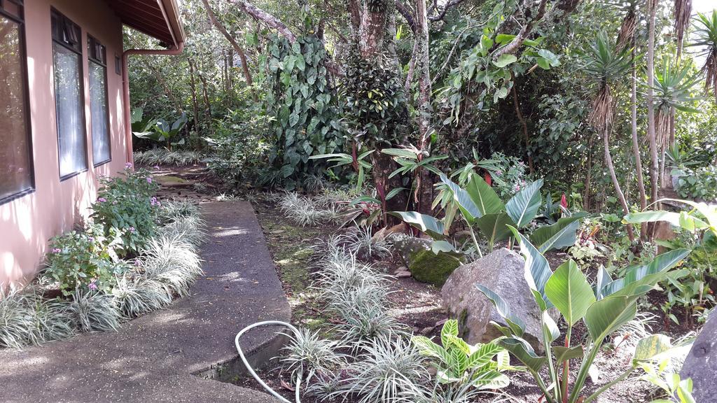מונטה ורדה Hotel Las Orquideas מראה חיצוני תמונה